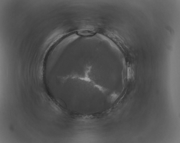 X0000116580243200912241659