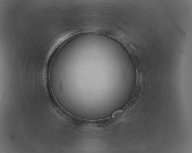 X0000116580244200912241659