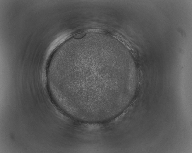 X0000116580245200912241659