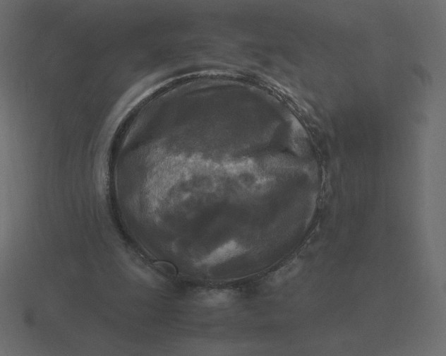 X0000116580247200912241659