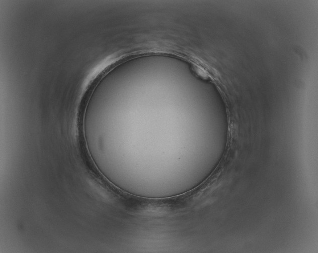 X0000116580248200912241659