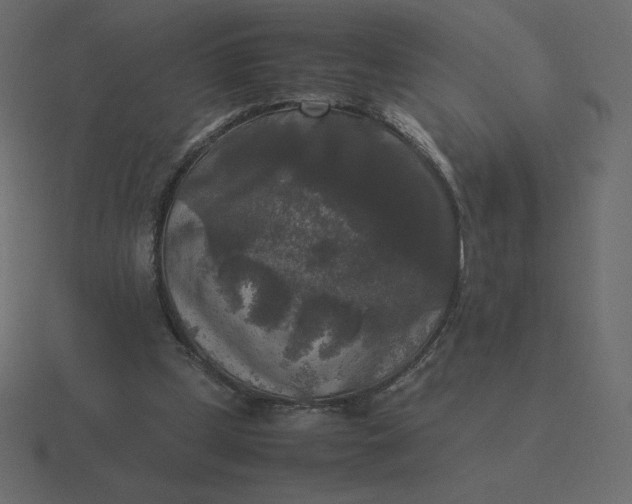 X0000116580249200912241659