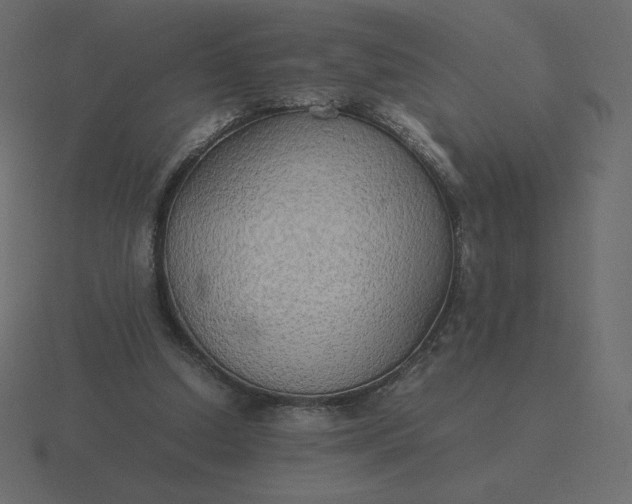 X0000116580250200912241659