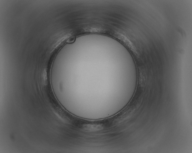 X0000116580251200912241700