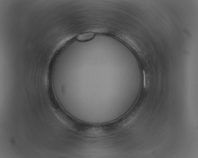 X0000116580252200912241700