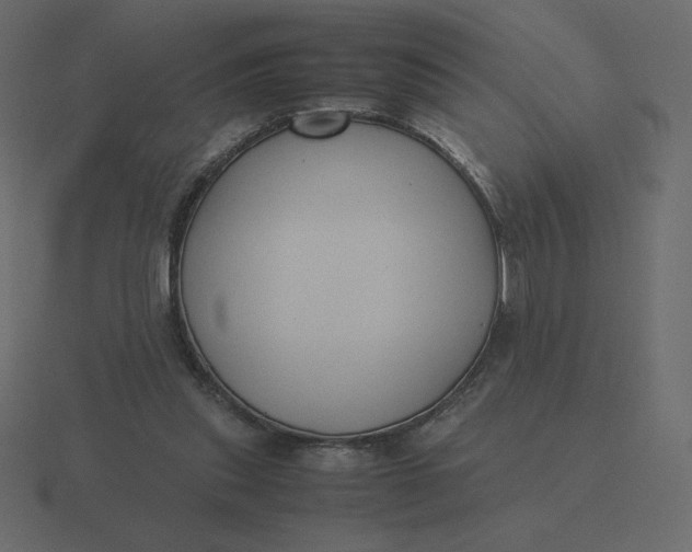 X0000116580253200912241700