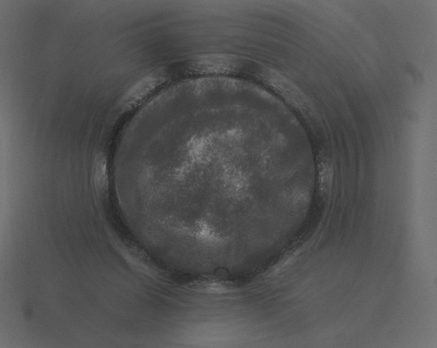 X0000116580254200912241700