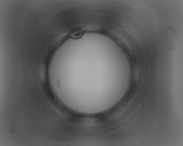 X0000116580255200912241700