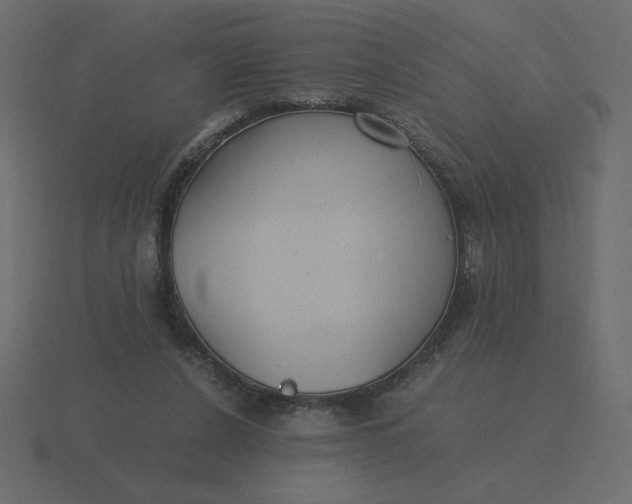 X0000116580256200912241700