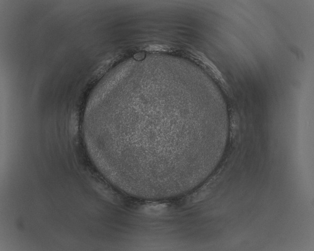 X0000116580257200912241700