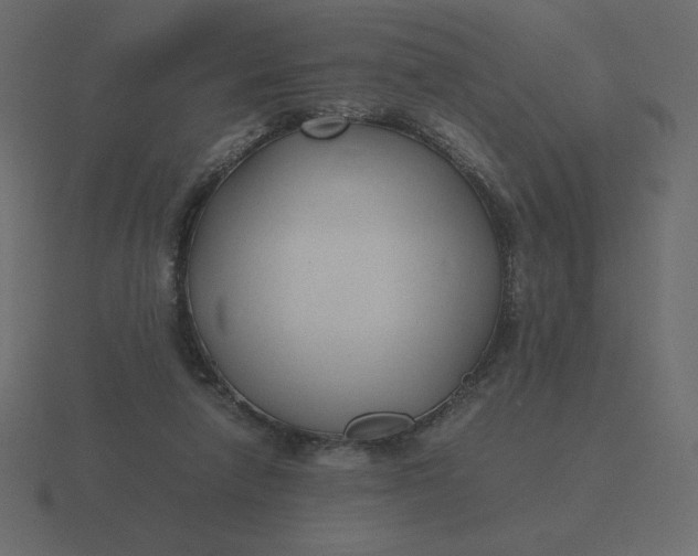 X0000116580258200912241700