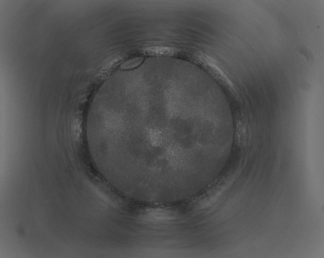 X0000116580259200912241700