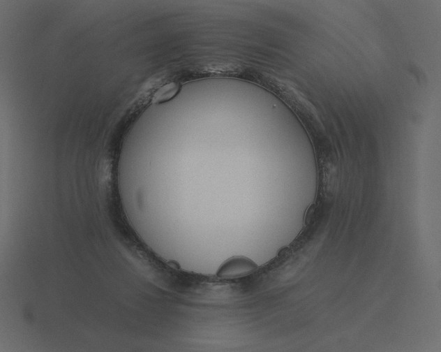 X0000116580260200912241700