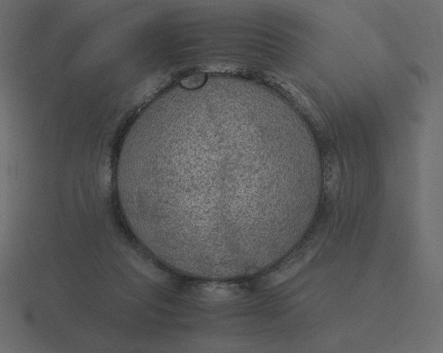 X0000116580261200912241700