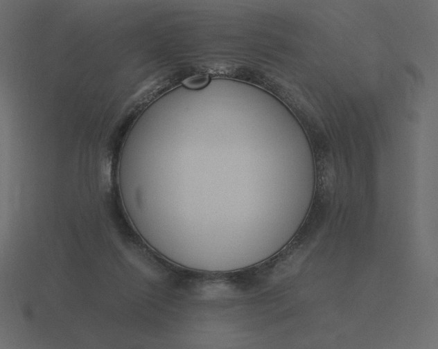 X0000116580262200912241700