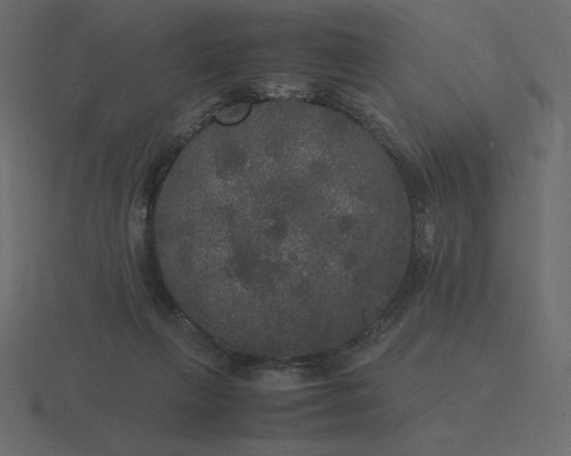 X0000116580263200912241700