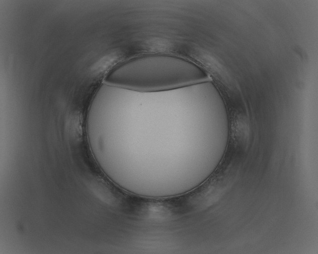 X0000116580264200912241700