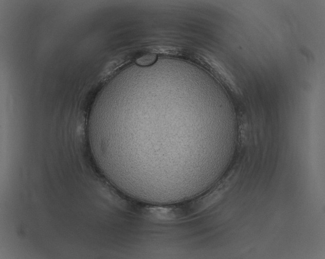 X0000116580265200912241700