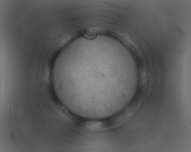 X0000116580266200912241700