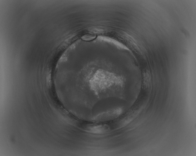 X0000116580267200912241700