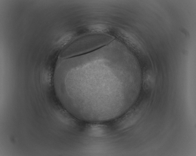 X0000116580268200912241700