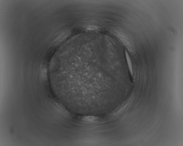 X0000116580269200912241700