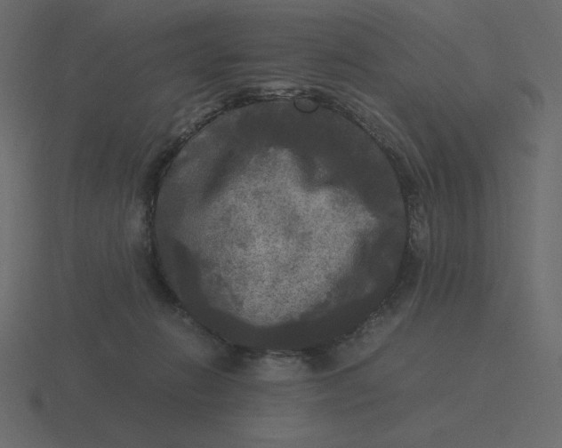 X0000116580270200912241700