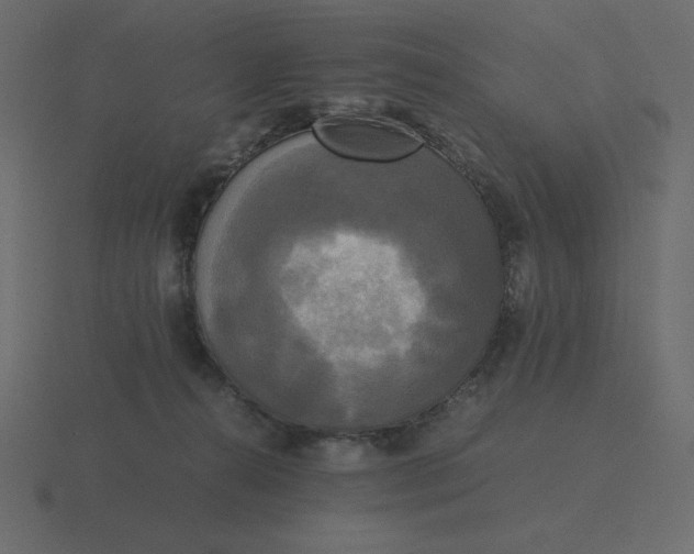 X0000116580272200912241700