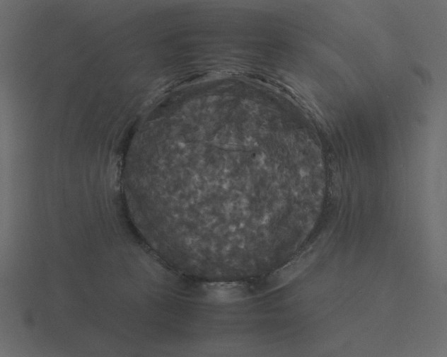 X0000116580273200912241700