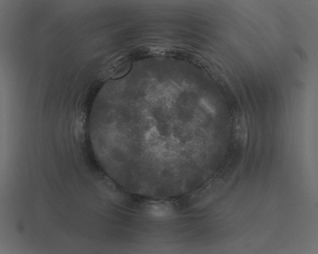 X0000116580275200912241700