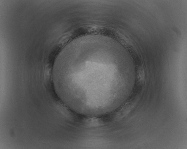 X0000116580276200912241700