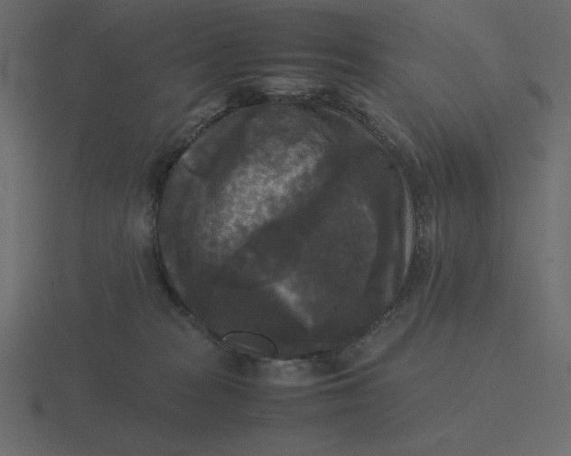 X0000116580277200912241700