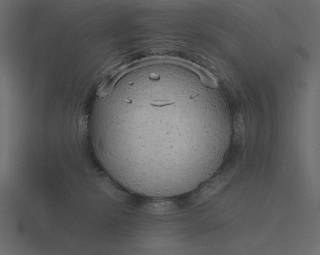 X0000116580278200912241700