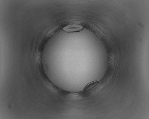 X0000116580280200912241700