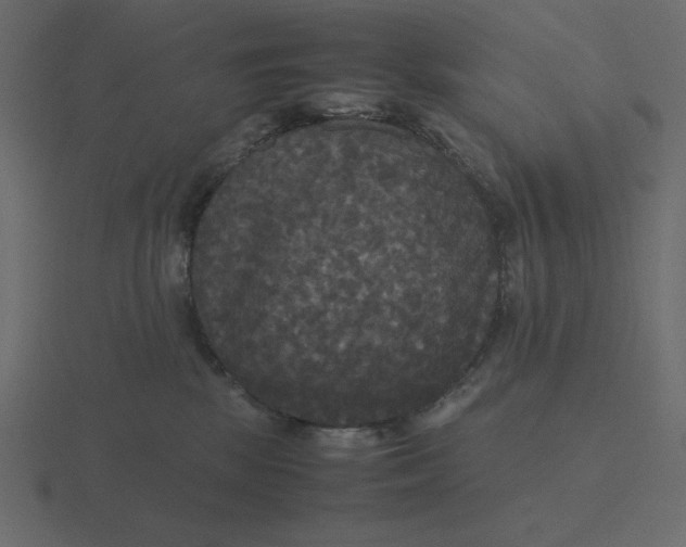 X0000116580281200912241700