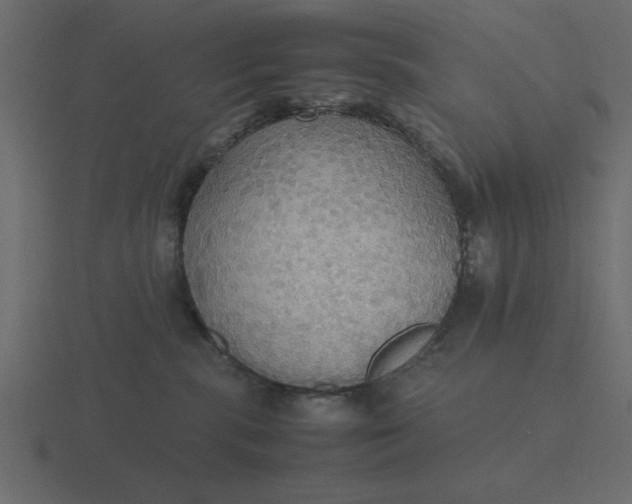 X0000116580283200912241700