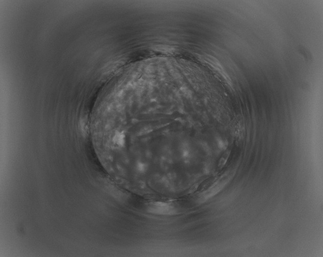 X0000116580285200912241700