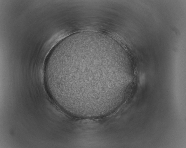 X0000116580290200912241659