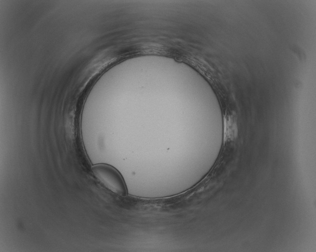 X0000116580291200912241659