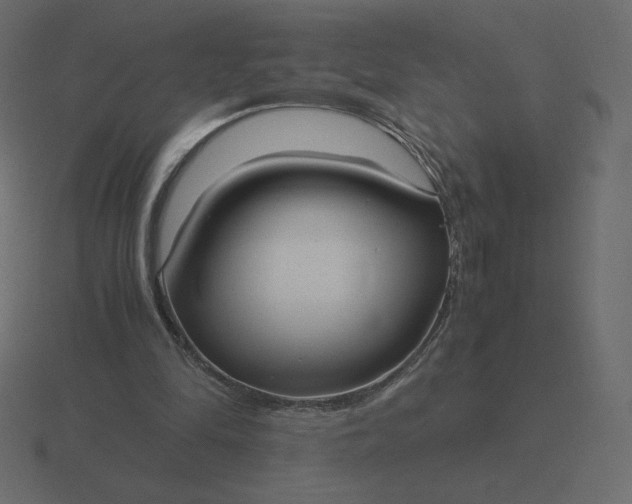 X0000116580294200912241659