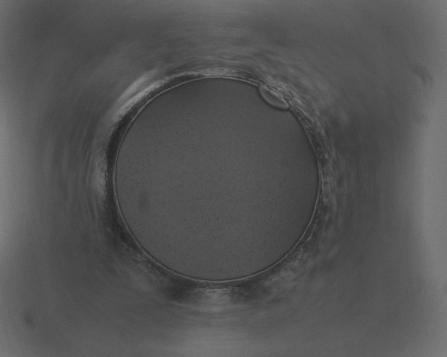 X0000116580295200912241659