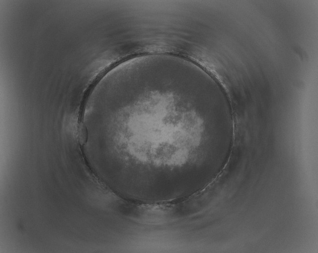 X0000116580297200912241659