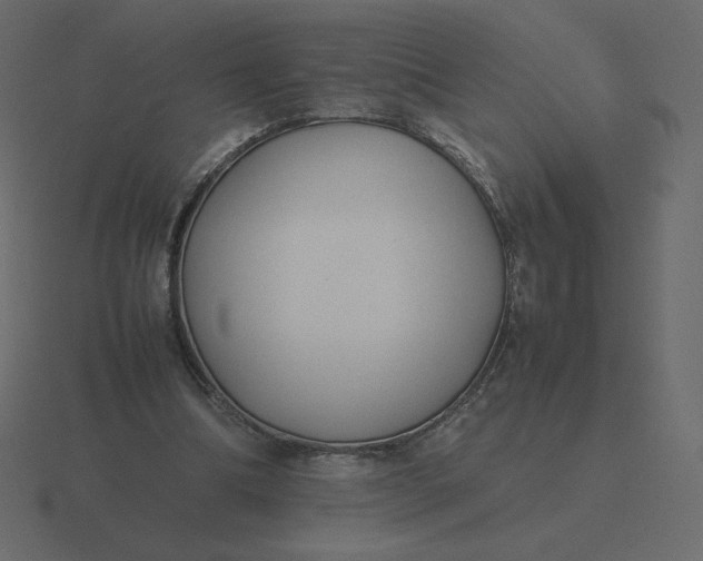 X0000116580298200912241659