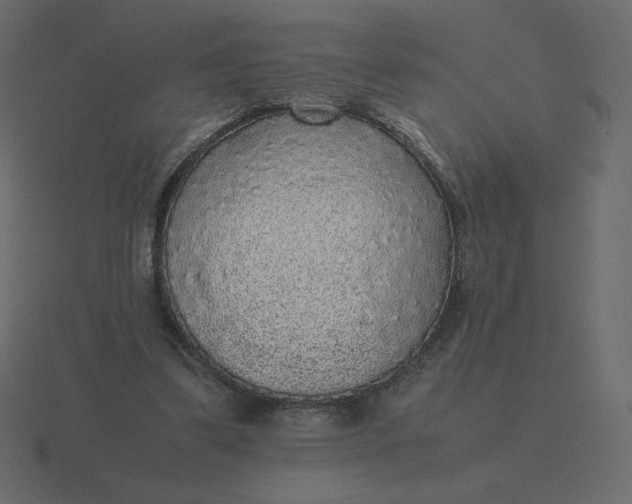 X0000116580299200912241659