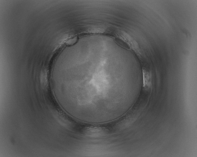 X0000116580300200912241659