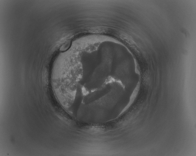 X0000116580303200912241659