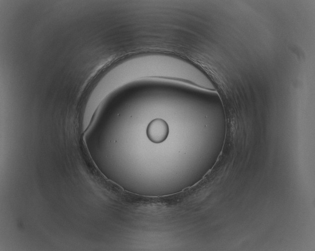 X0000116580304200912241659