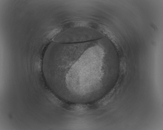 X0000116580305200912241659