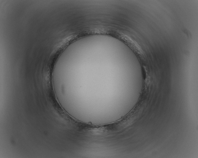 X0000116580306200912241659