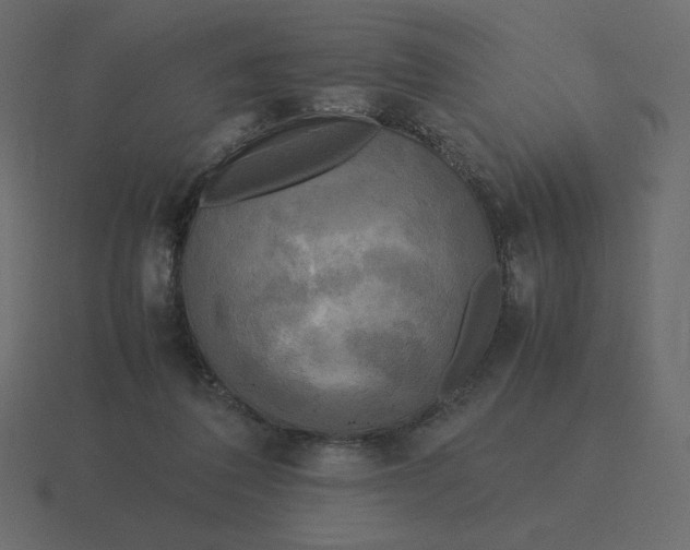 X0000116580308200912241659